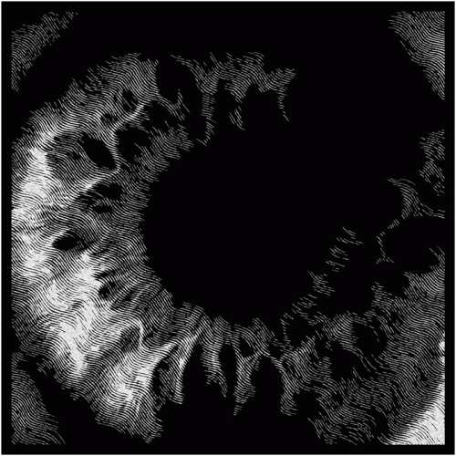 Negativa (ESP) : MMXV